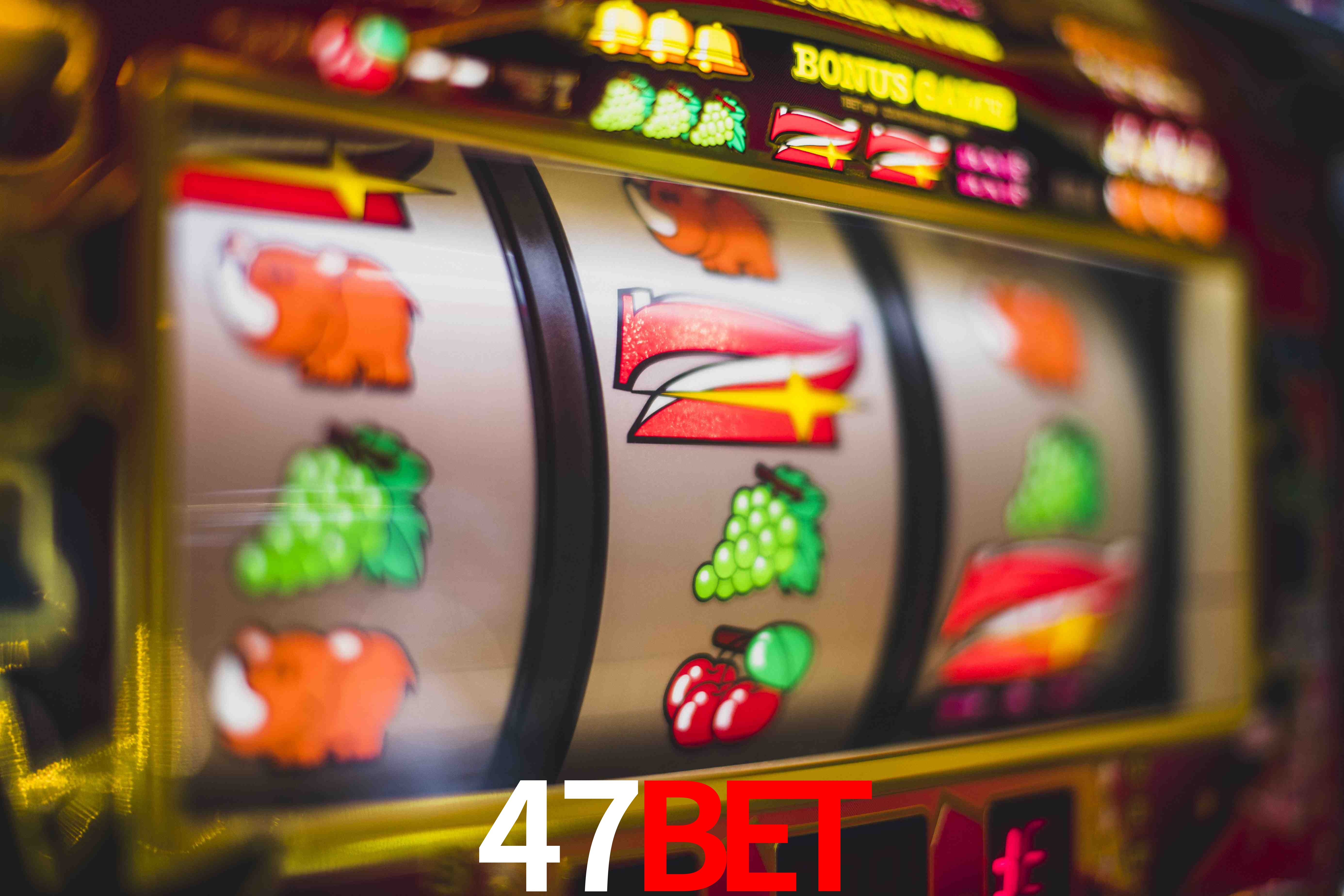 VIP Casino 47bet